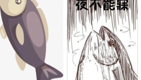 实名咸鱼账号购买有什么作用