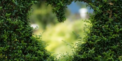 今日头条账号购买出售2018年注册10w粉12w赞舞蹈类